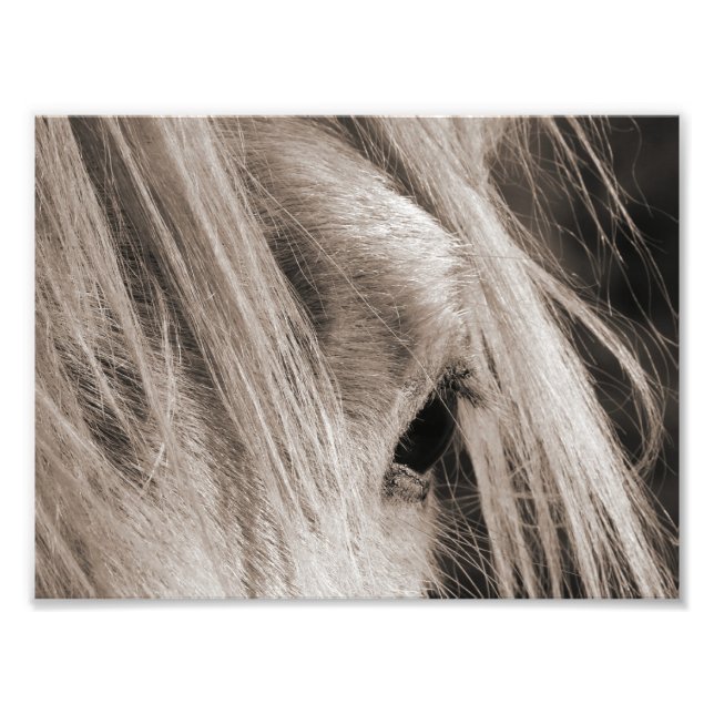 Messy Mane Day Fotodruck (Vorne)