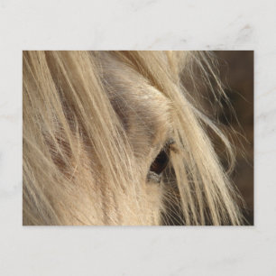Messy Mane Day Postkarte