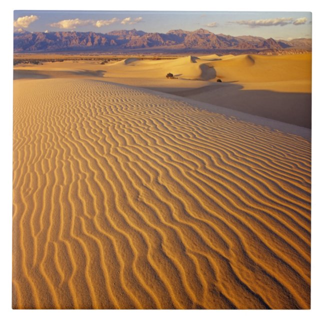 Mesziemlich flache Sanddünen im Death Valley Fliese (Vorderseite)