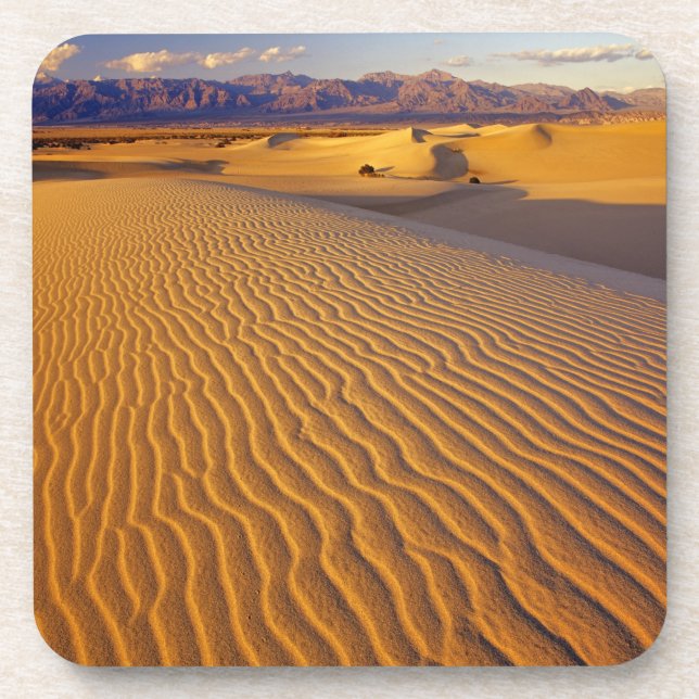 Mesziemlich flache Sanddünen im Death Valley Untersetzer (Vorderseite)