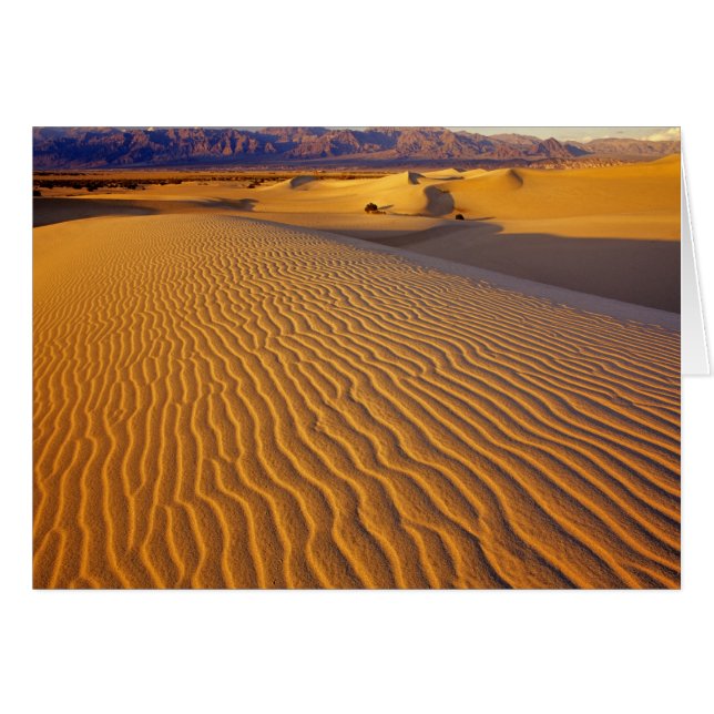 Mesziemlich flache Sanddünen im Todestal (Vorderseite (Horizontal))