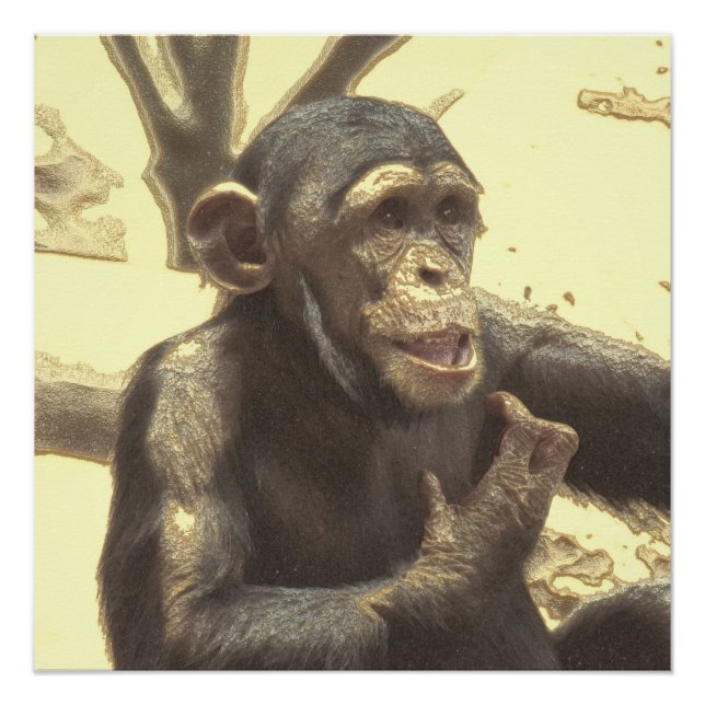 Metal Chimp Poster (Vorderseite)
