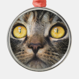 Métal Gros plan de chat avec ornement en céramique Yello