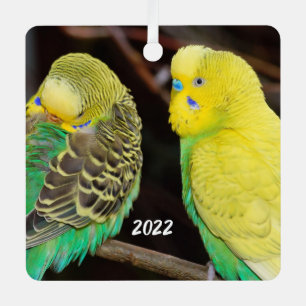Métal Ornement en céramique Budgie Parakeet anglais