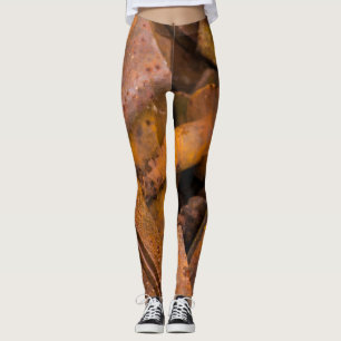 METALL REGELN LEGGINGS