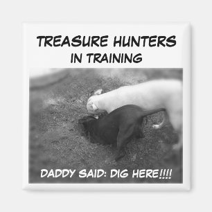 Metalldetektoren, SAGTE DADDY: DIG HIER!!!!!.... Magnet