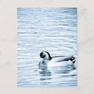 Metallherde Postkarte