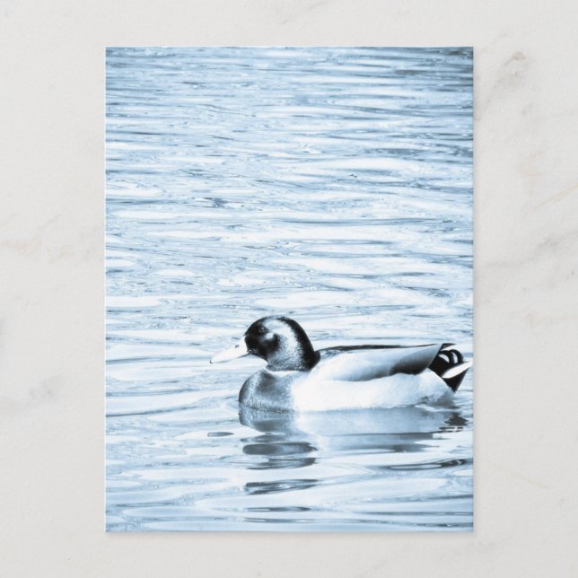 Metallherde Postkarte (Vorderseite)