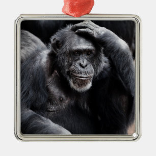 Métallique Ancien ornement chimpanzé