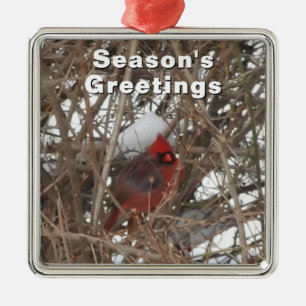 Métallique Cardinal rouge masculin en ornement d'hiver