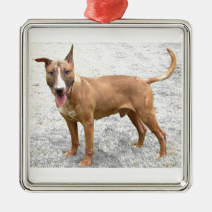 Métallique Ornement anglais de bull-terrier