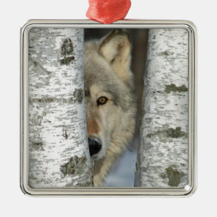 Métallique ornement avec la PIC du loup gris dans quelques