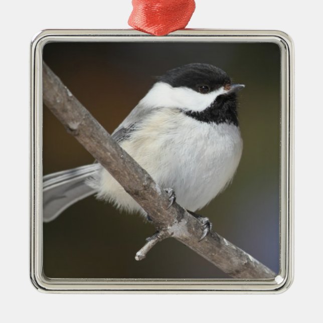 Métallique Ornement de Chickadee (Devant)
