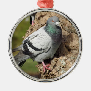 Métallique Ornement de pigeon