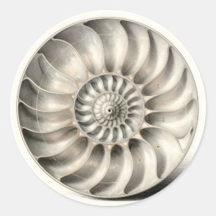 Metallische Nautilus-Schnecken-Spiral-Geometrie Runder Aufkleber