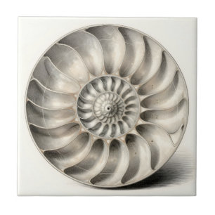 Metallische Nautilus-Schnecken-Spiralgeometrie Fliese