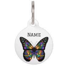 Metallischer Schmetterling auf Weiß
