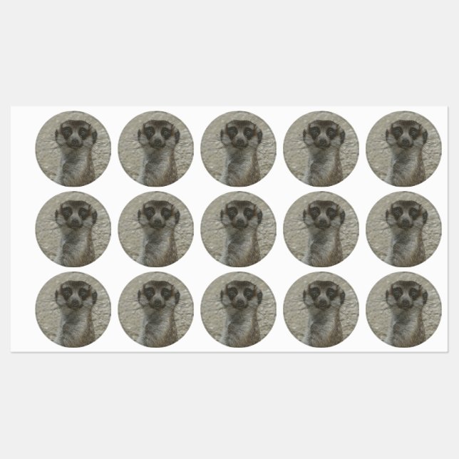 Metallmeerkat Etiketten (Blatt)