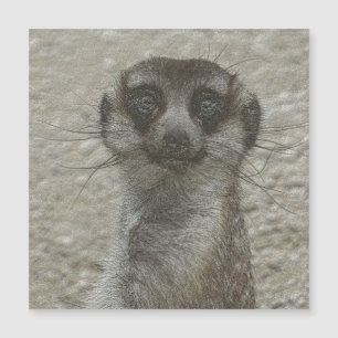 Metallmeerkat Magnetkarte
