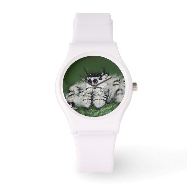 Metaphid Jumping Spider Armbanduhr (Vorderseite)