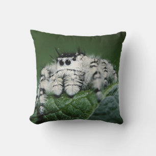 Metaphid Jumping Spider Kissen