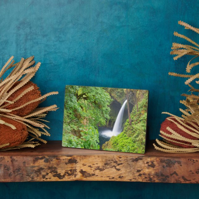 Metlako Falls Fotoplatte (Seite)