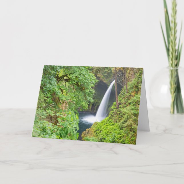 Metlako Falls Karte (Vorderseite)