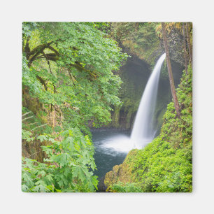 Metlako Falls Magnet