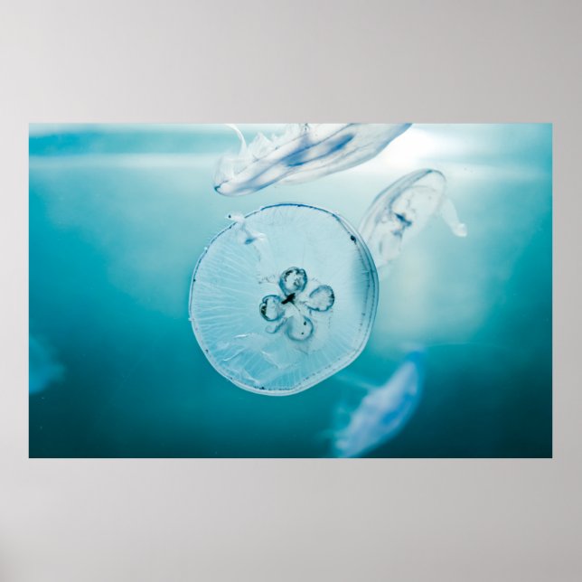 METROID IST, DASS SIE POSTER (Vorne)