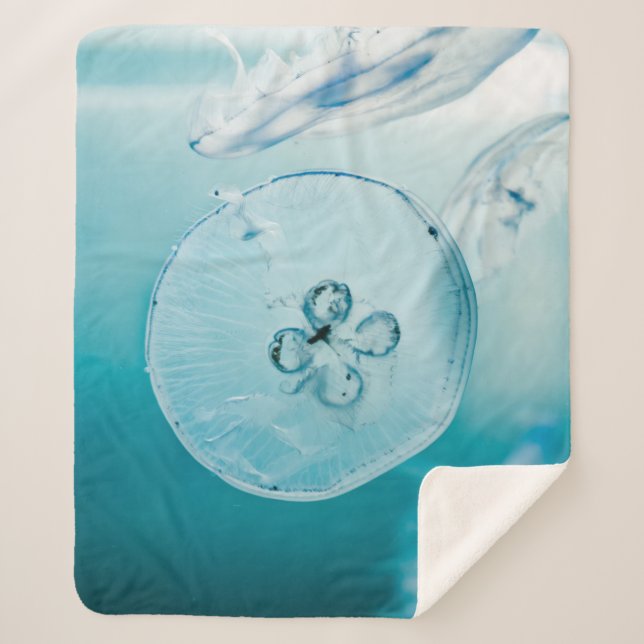 METROID IST, DASS SIE SHERPADECKE (Vorderseite)