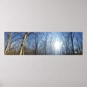 Metropark Scioto Grove, Grove City, Ohio Poster