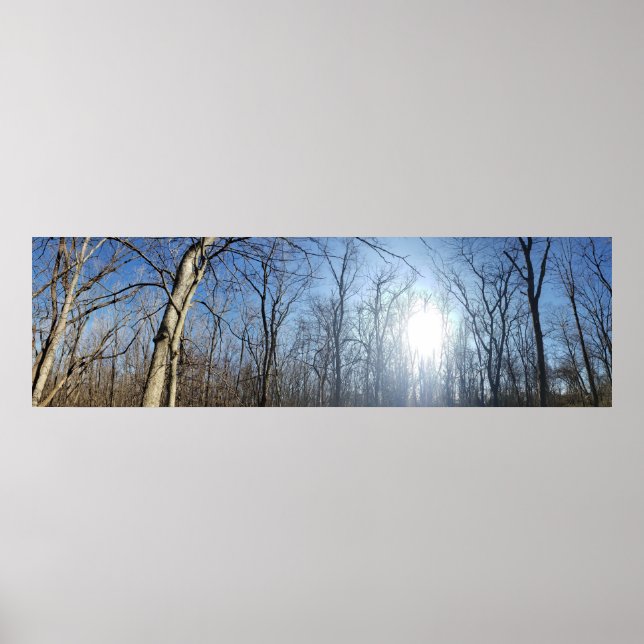 Metropark Scioto Grove, Grove City, Ohio Poster (Vorne)