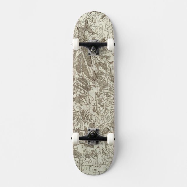 Metz Skateboard (Vorderseite)