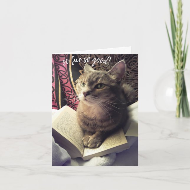 Mew l'a fait ! Cat Pun Étudier la carte de diplôme (Devant)