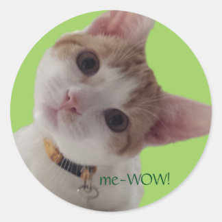 meWOW Kuriosiver Cat Good Job Anpassbare Aufkleber