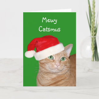 Mewy Catsmus Feiertagskarte