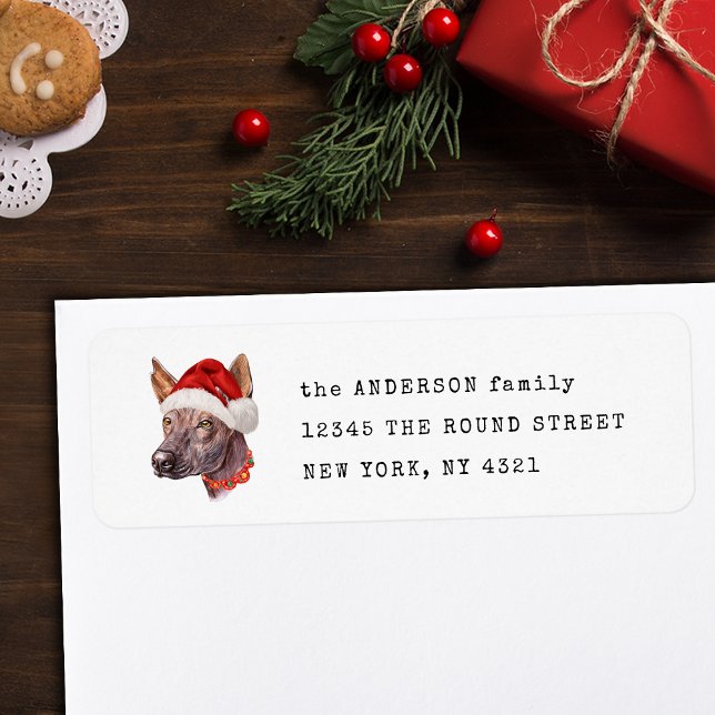 Mexican Hairless Xoloitzcuintle Rücksendeadresse (Von Creator hochgeladen)