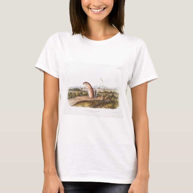 Mexican Marmot Squirrel Camping Deco Gifts T-Shirt (Vorderseite)