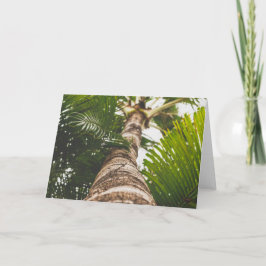 Mexican Palm Tree From Below Karte
