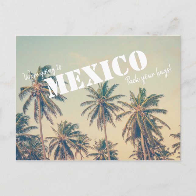 Mexico Beach Palm Tree retten die Daten Postkarte (Vorderseite)