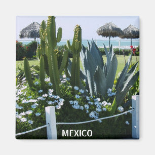 MEXICO CACTI MAGNET