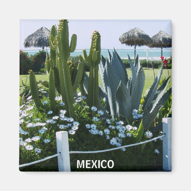 MEXICO CACTI MAGNET (Vorne)