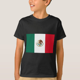 Mexico Flag Kids T - Shirt