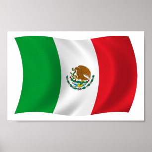 Mexico Flag Poster Print