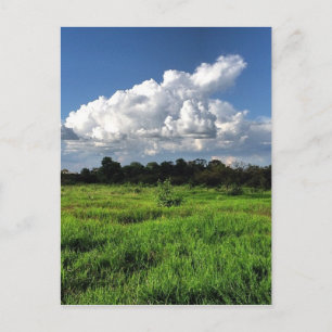 #mexico #losaltos postkarte