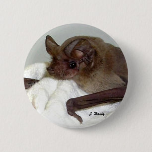 Mexikaner Frei-angebundener Schläger Button
