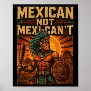 Mexikanisch Nicht Mexi-kanisch Vintage Cinco De Ma Poster