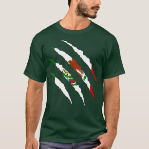 Mexikanische Flagge Mexiko T-Shirt