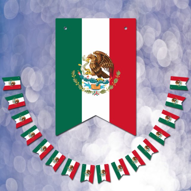 Mexikanische Flagge und mexikanisches Party / Hoch (Von Creator hochgeladen)