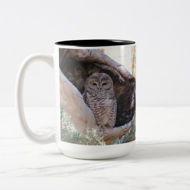 Mexikanische gepunktete Eulen-Tasse, Zweifarbige Tasse (Links)